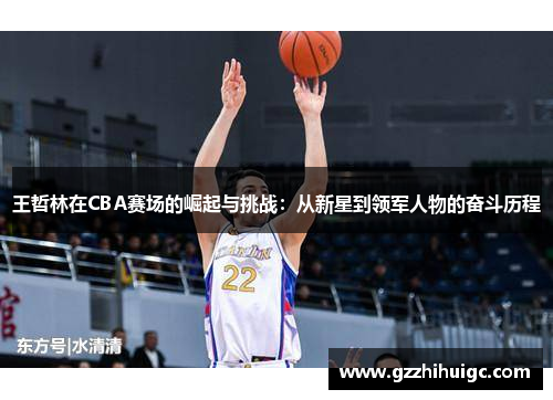 王哲林在CBA赛场的崛起与挑战：从新星到领军人物的奋斗历程