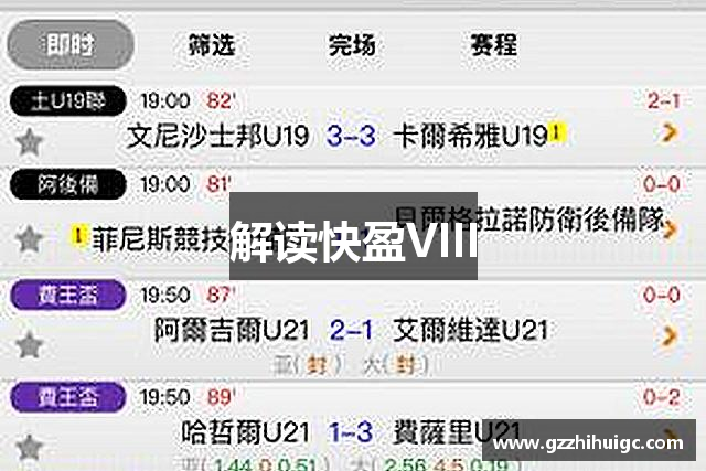 解读快盈VIII